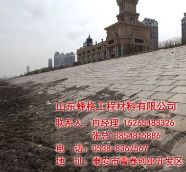哈尔滨松花江群力堤生态护坡