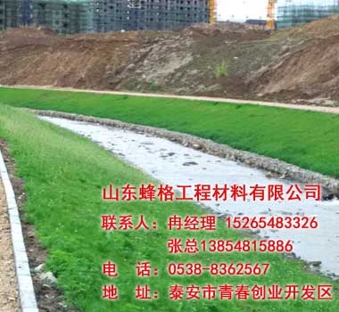 牡丹江市金龙溪上游治理工程蜂巢护坡工程